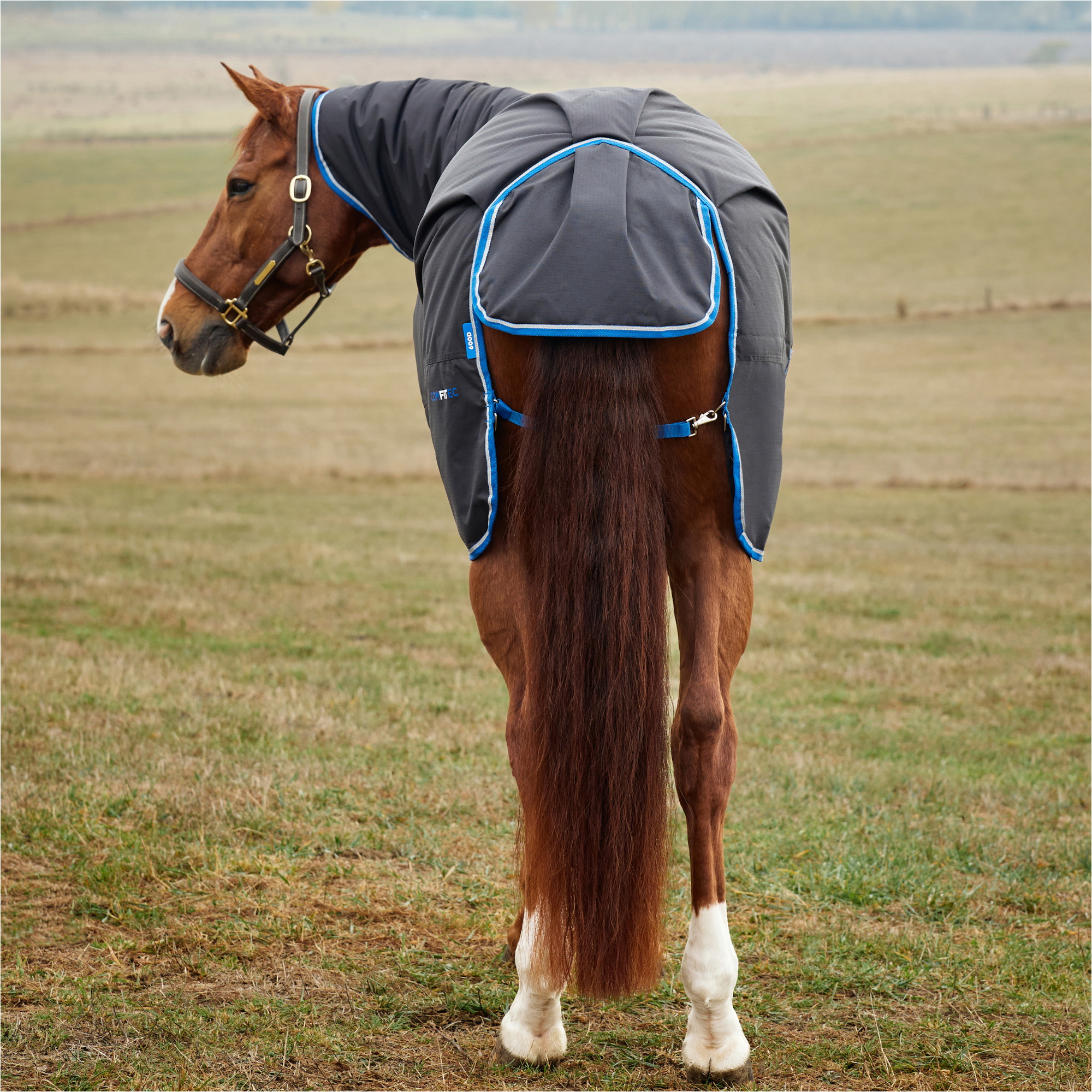 2025 Weatherbeeta Comfitec Tyro Turnout Combo Neck 220G 1029034 - Black
